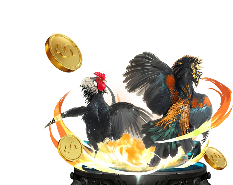 Cá cược đá gà trực tiếp tại 88aa Casino